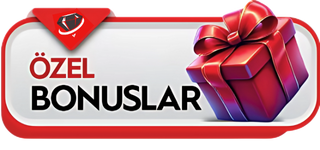 Alt Banner Altı